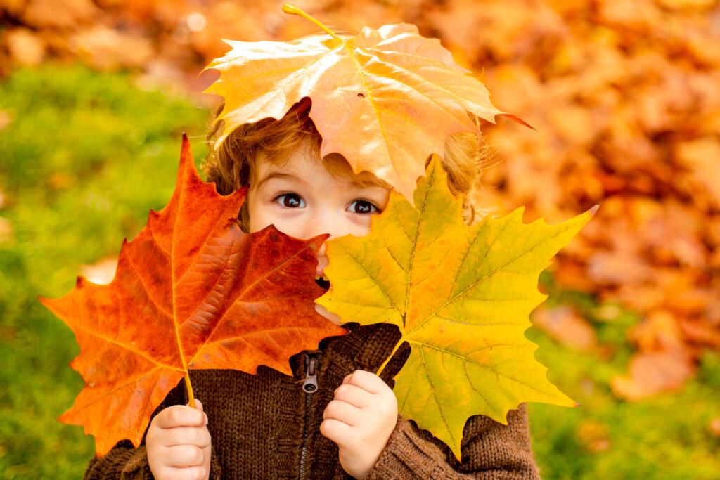 enfant jouant avec des feuilles d