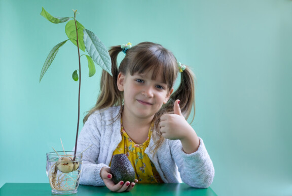 Amazing! How to Grow an Avocado Plant From a Seed in 9 Steps!